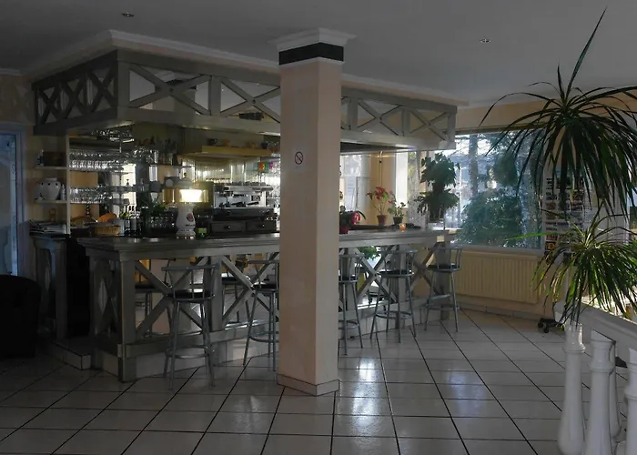 Hostellerie Saint Clément Hotel Vic-sur-Cère